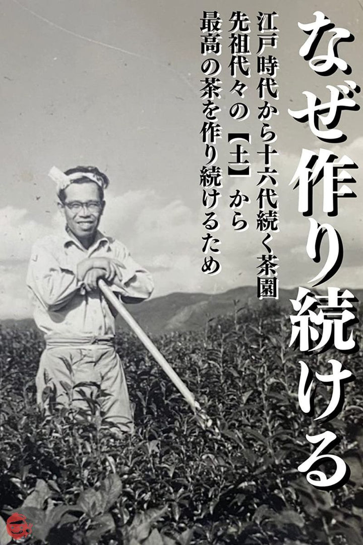 京都宇治 吉田銘茶園 ほうじ茶 棒茶 日本茶 茶葉 ほうじちゃ 緑茶 お茶っ葉 宇治茶 (100g)の画像