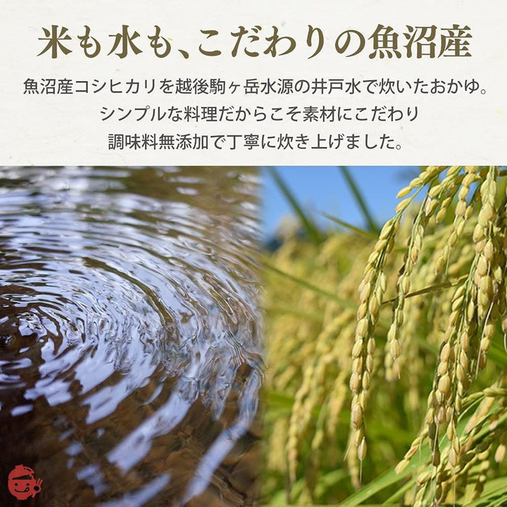 アイリスオーヤマ おかゆ レトルト 発芽玄米おかゆ 250g ×10個 (製造から) 2年 魚沼産 コシヒカリ 非常食の画像