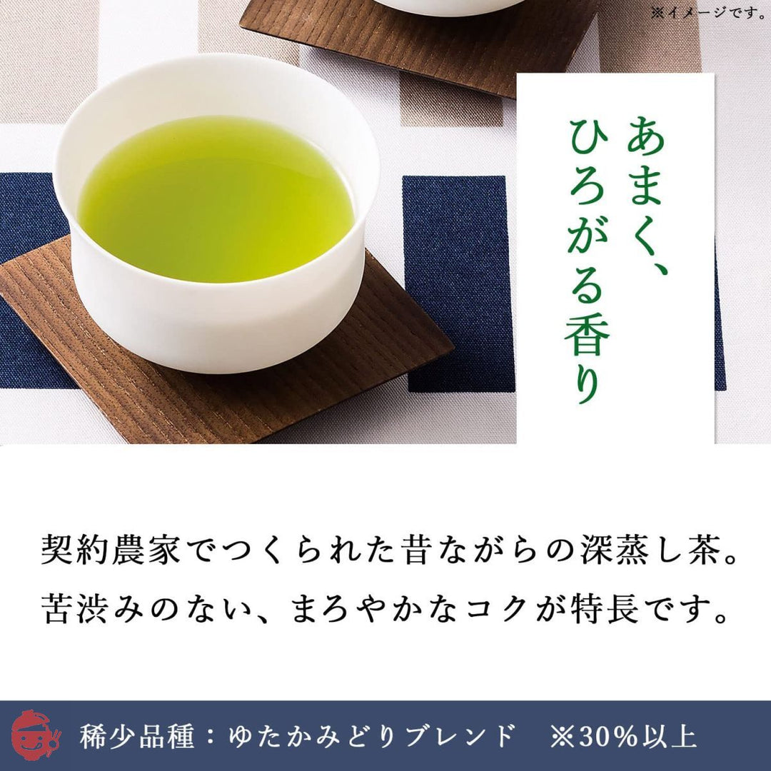 伊藤園 一番摘みのおーいお茶 ゆたかみどりブレンド 100g [機能性表示食品] 1000 茶葉の画像