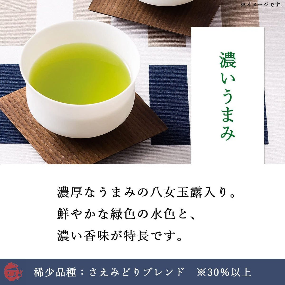 伊藤園 一番摘みのおーいお茶 さえみどりブレンド 100g [機能性表示食品] 1500 茶葉の画像