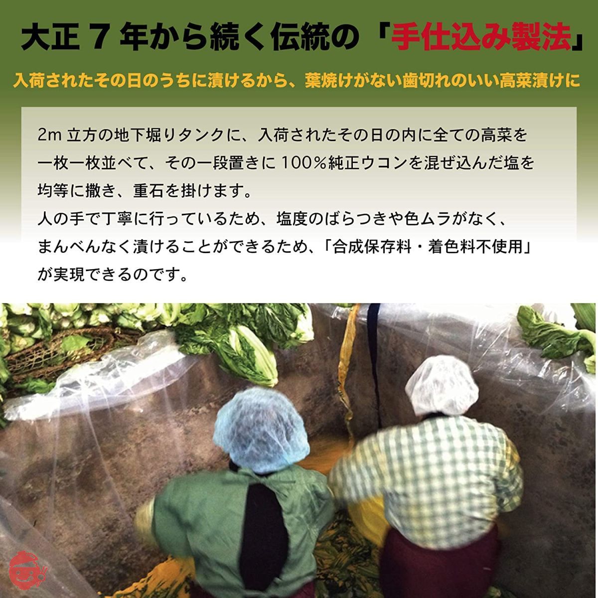 然舎　高菜　10kg 高菜 高菜漬け 国産 九州 福岡 食べ比べ お試しセット 600g 辛子