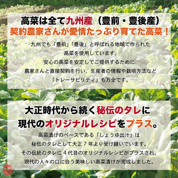 高菜 高菜漬け 国産 九州 福岡 辛子高菜 600g きざみ 老舗のピリッ辛高菜 200g×3袋セット しょうゆ漬け 九州産唐辛子 GrandVillageの画像