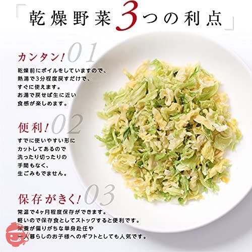 山下屋荘介 私の楽ベジ 乾燥野菜 キャベツ 100g ( 国産 / 国内製造品 /ネコポス ) ドライ野菜 乾燥きゃべつ 乾燥やさい 保存食の画像