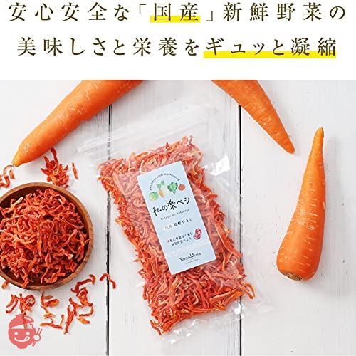 山下屋荘介 私の楽ベジ 乾燥野菜 にんじん 100g ( 国産 / 国内製造品 / ネコポス ) ドライ野菜 乾燥人参 乾燥やさい 保存食の画像