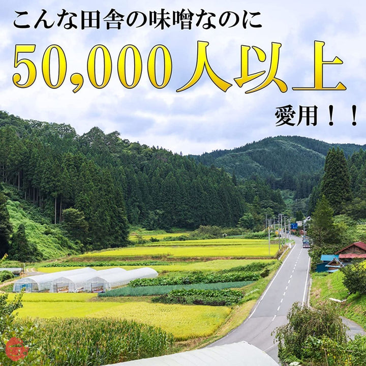 マルマン醸造 味噌 ふるどの天然醸造みそ700g袋sample 化学調味料無添加味噌 国産大豆 蔵出し 米こうじ 長期熟成 粒 自然発酵 非加熱 山吹色 グルテンフリー 米麴 福島県の画像