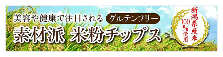 岩塚製菓 ふわっとやわらかえび味 45g×10袋の画像