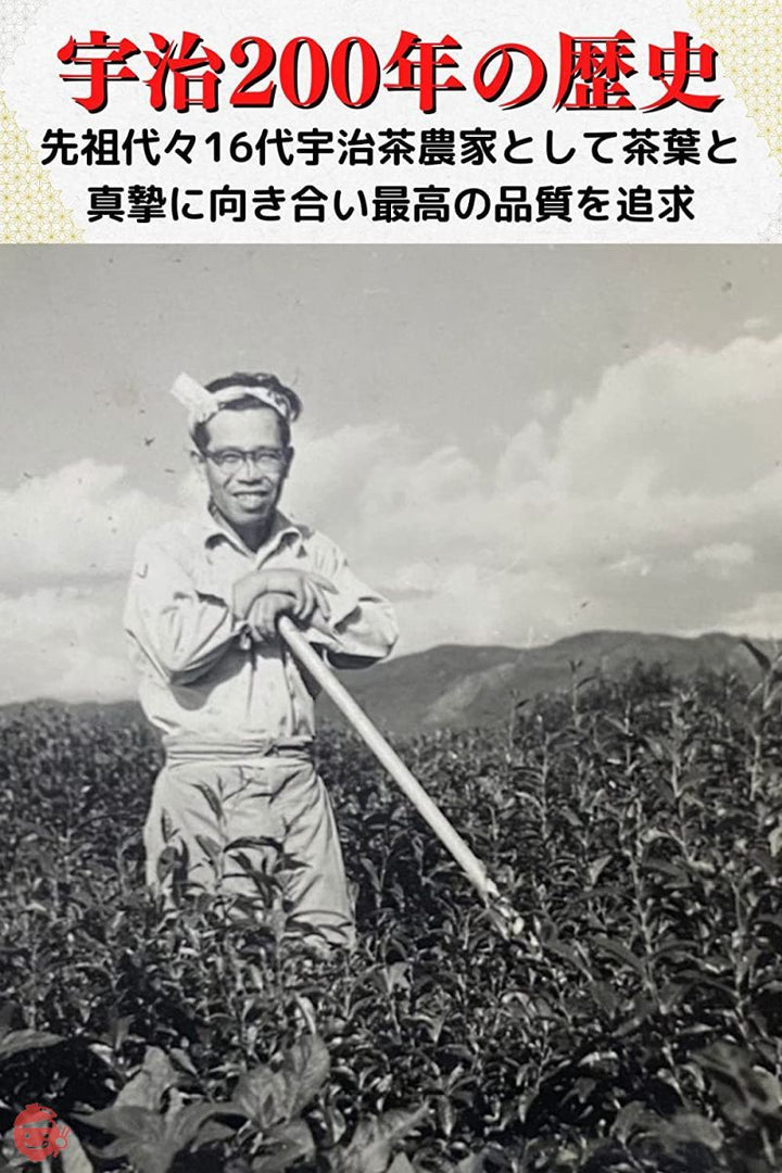 京都宇治 吉田銘茶園 玉露 煎茶 茶葉 緑茶茶葉 (棒玉露 80g)の画像