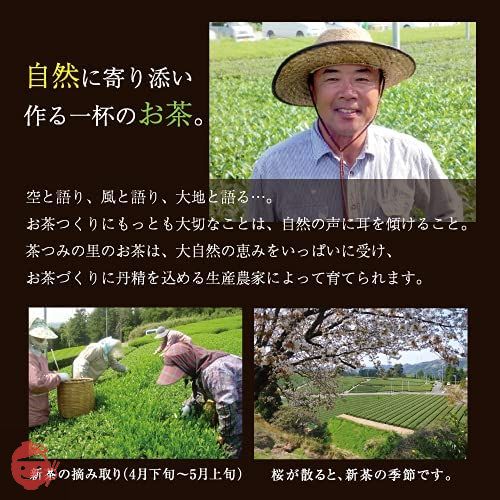 美味茶寮 抹茶入り 緑茶 ティーバッグ 2.5g×100個入 静岡県産の画像