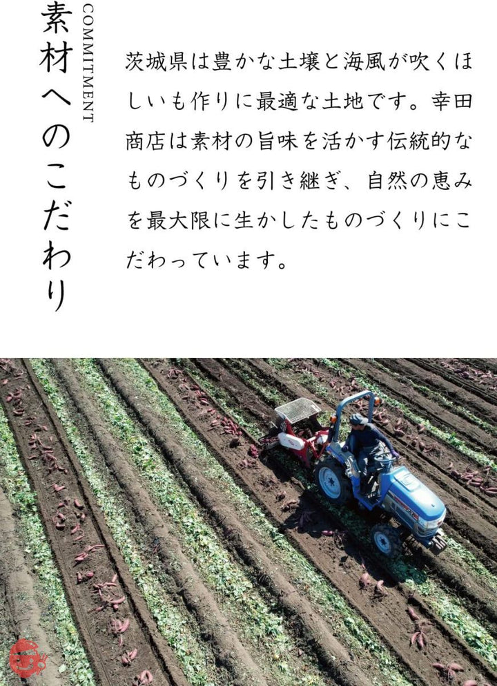 幸田商店 玉豊 訳あり 500g お得な 茨城県産 ほしいも（干し芋、干しいも、乾燥芋）シロタ 国産の画像