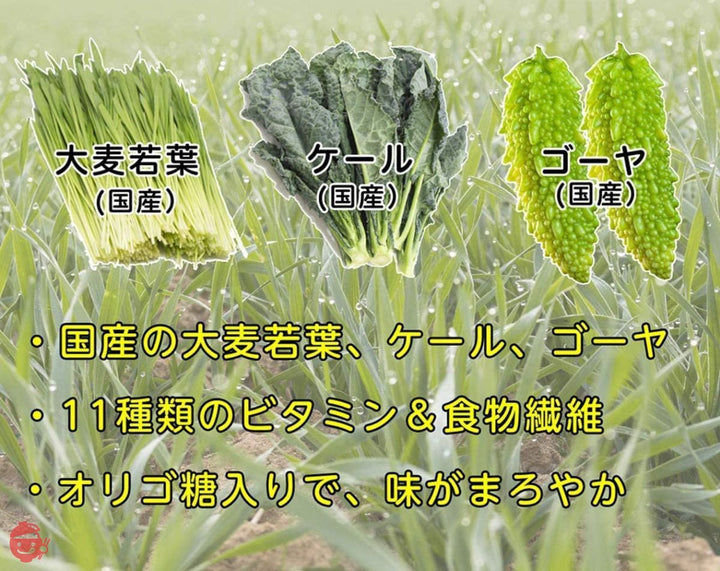 ファイン 日本の青汁 大麦若葉 ケール ゴーヤ使用 農薬未使用 約30日分 国内生産 (1日3g/100g入)×2個セットの画像