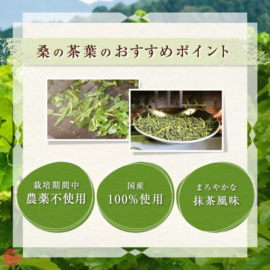 桑の葉茶 桑茶 粉末 特別栽培桑使用糖質制限 お茶 山梨県 農薬除草剤不使用 120g 1袋の画像