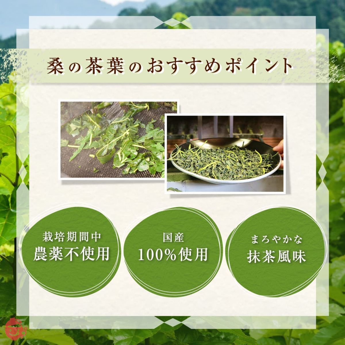 Mulberry leaf tea Mulberry tea powder Specially cultivated
