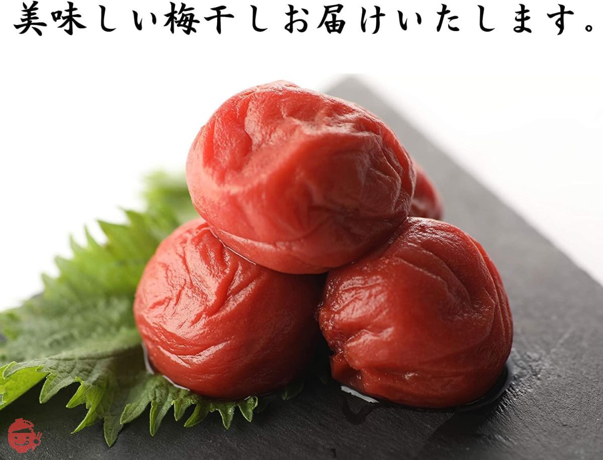 梅子 Large Ripe Nanko Ume [Shiso Flavor Fragrant Salt Content 10