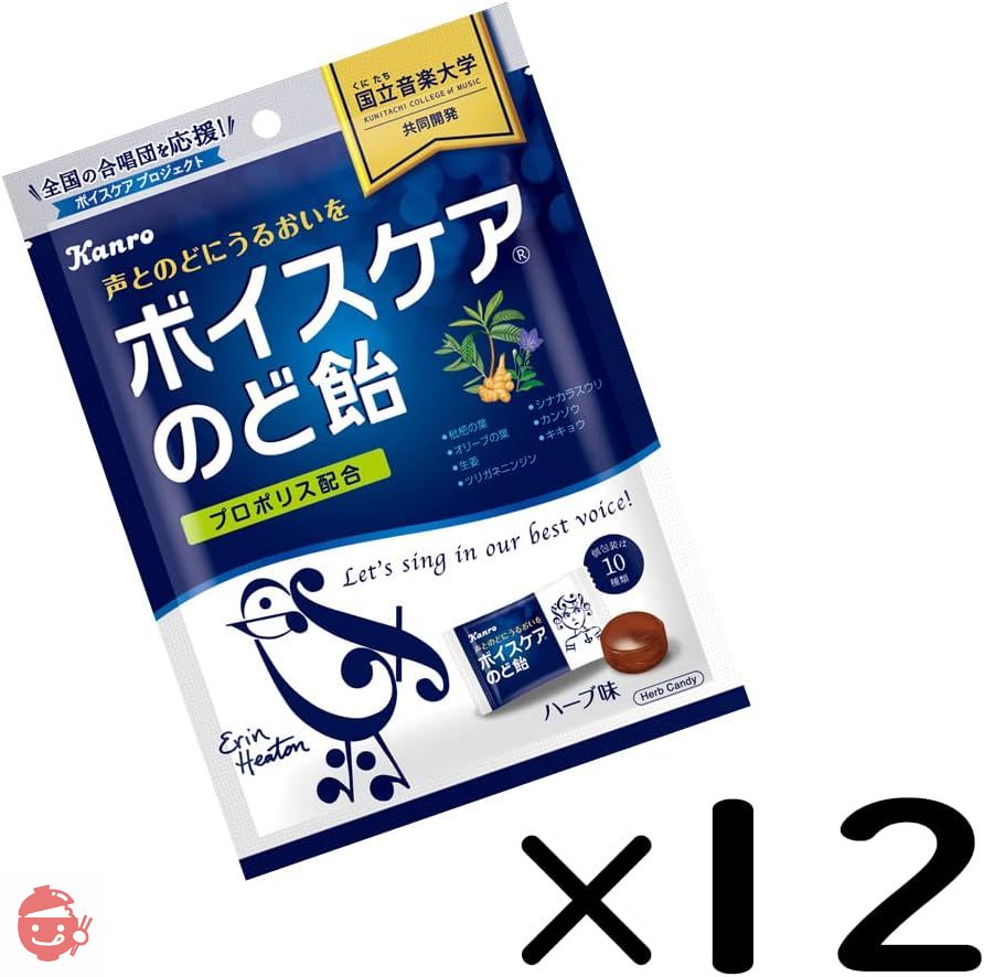 カンロ ボイスケアのど飴 2PACK 計12袋入の画像