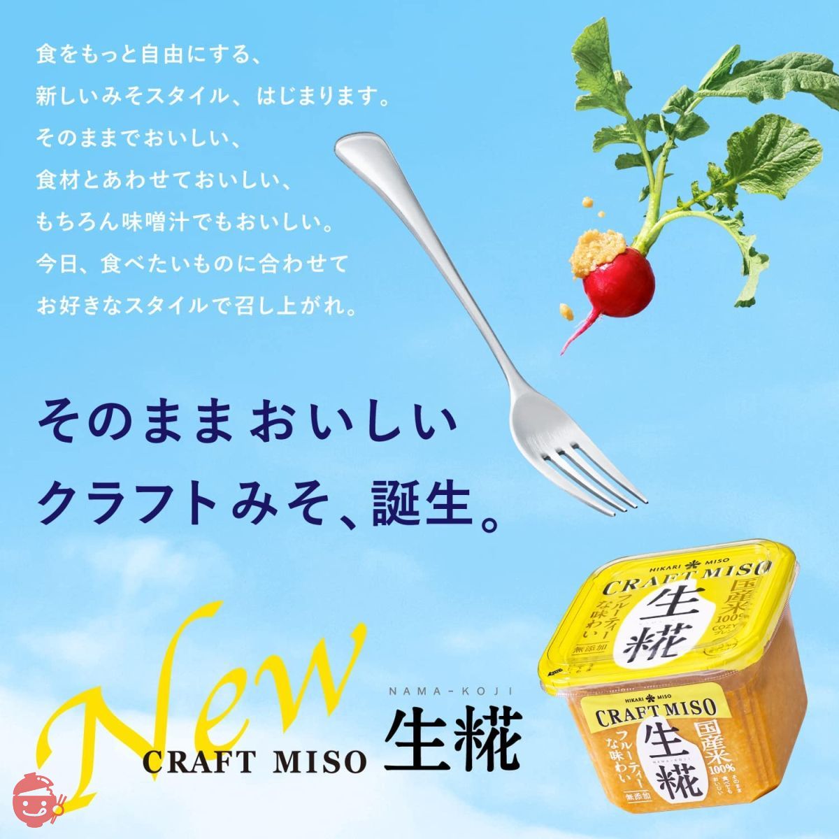 みー出品　RAWFOOD105（２箱分）　送料無料 MISO SOUP | たかはしきもの工房 本店