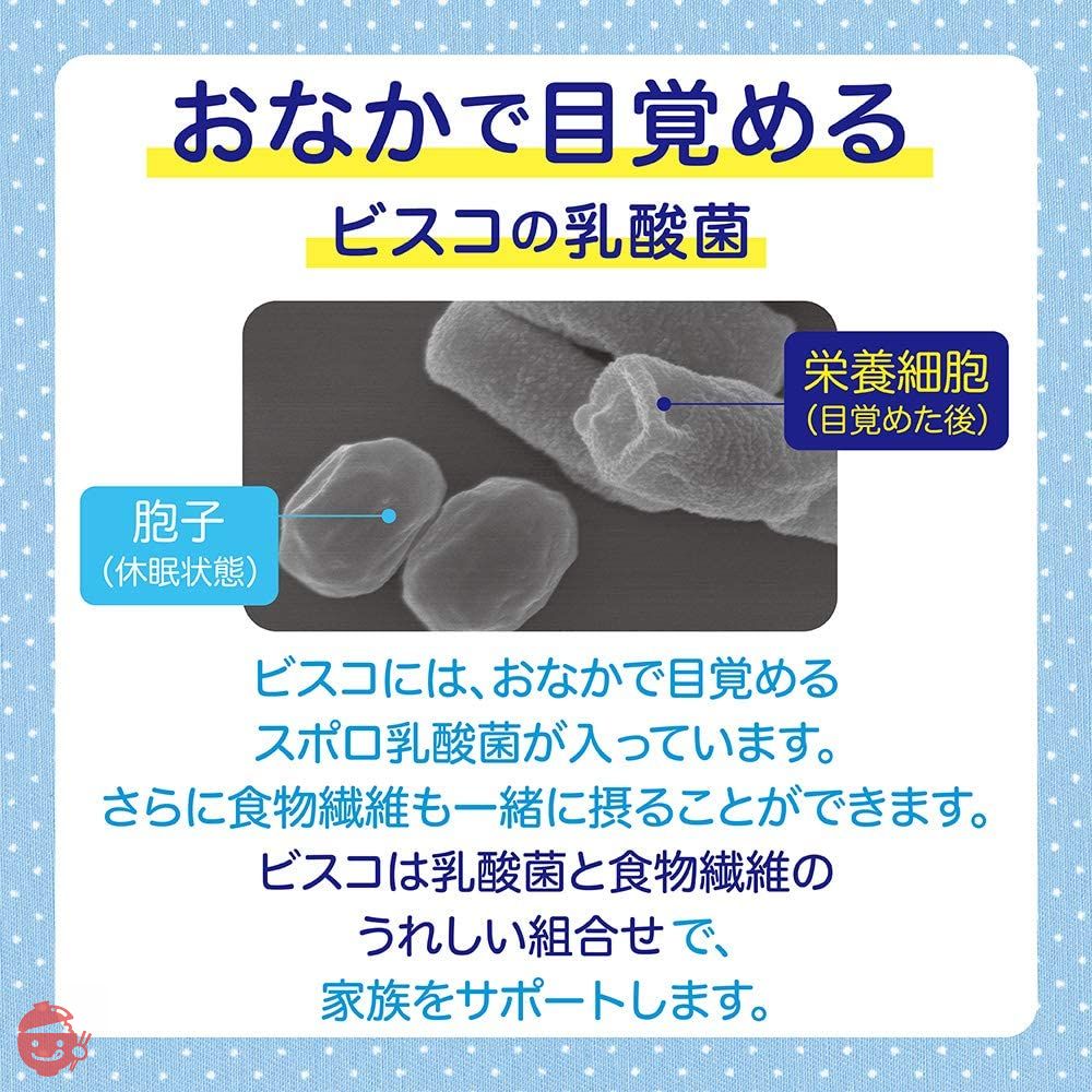 江崎グリコ 【セット商品】 ビスコ小箱(4種×5個) アソートセットの画像