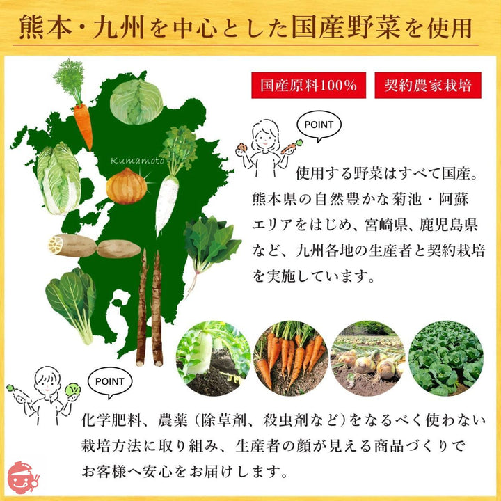 乾燥野菜 国産 6種セット (合計225g) 九州産など 国産野菜 根菜 ミックス 合計9種類 味噌汁の具 ごぼう 人参 ほうれん草 れんこん 保存食 カップ麺の具 【くまモン 熊本ラーメン 付き】の画像