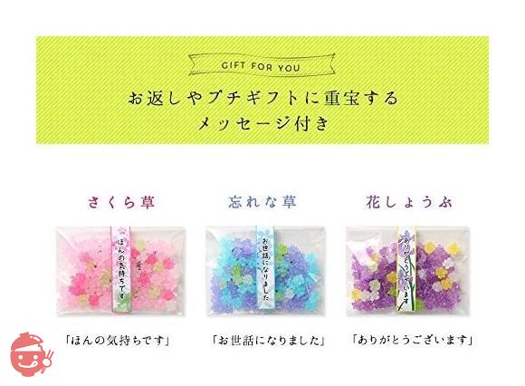 ふみこ農園 退職のお礼やプチギフトに使える メッセージ入り金平糖（こんぺいとう）30g 12セット 忘れな草(お世話になりました)の画像