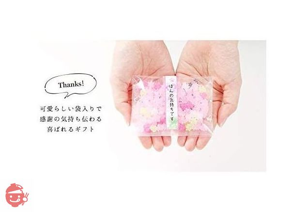 ふみこ農園 退職のお礼やプチギフトに使える メッセージ入り金平糖（こんぺいとう）30g 12セット 忘れな草(お世話になりました)の画像