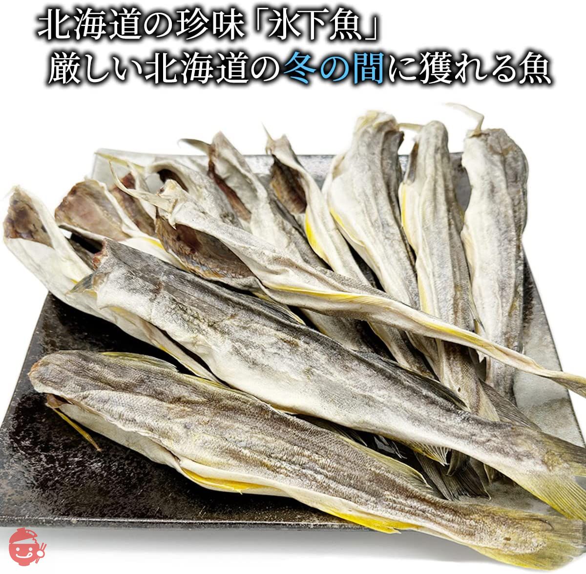 北海道産 こまい 氷下魚 コマイ 400g 干し こまい 珍味 10尾前後 かんかい 干物 北海道きたれん – Japacle