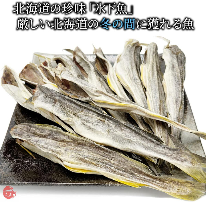 北海道産 こまい 氷下魚 コマイ 400g 干し こまい 珍味 10尾前後 かんかい 干物 北海道きたれんの画像