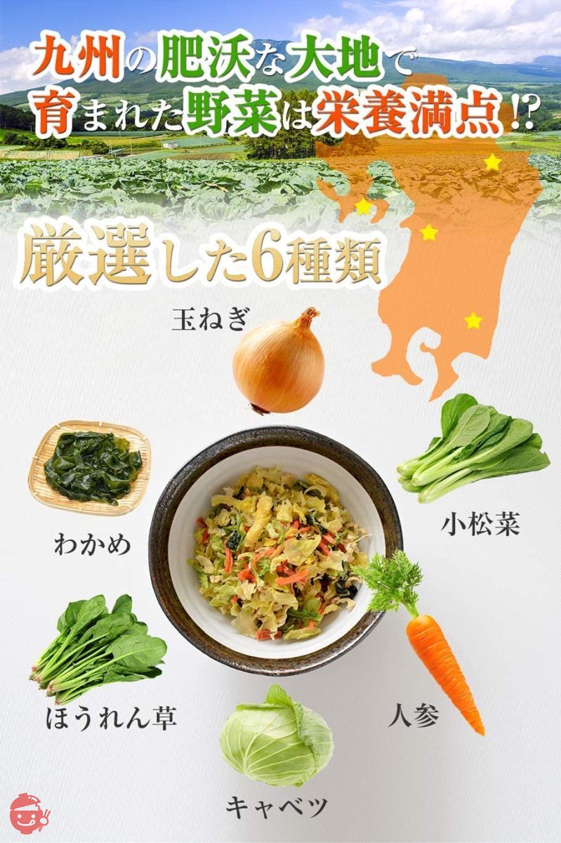 九州野菜三昧 乾燥野菜 国産 無添加 野菜 5種類 わかめ ミックス 100g (5袋)の画像