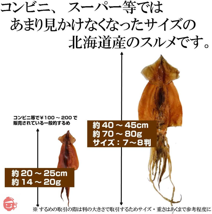 北海道産 するめいか 無添加 国産 5枚入 業務用の画像