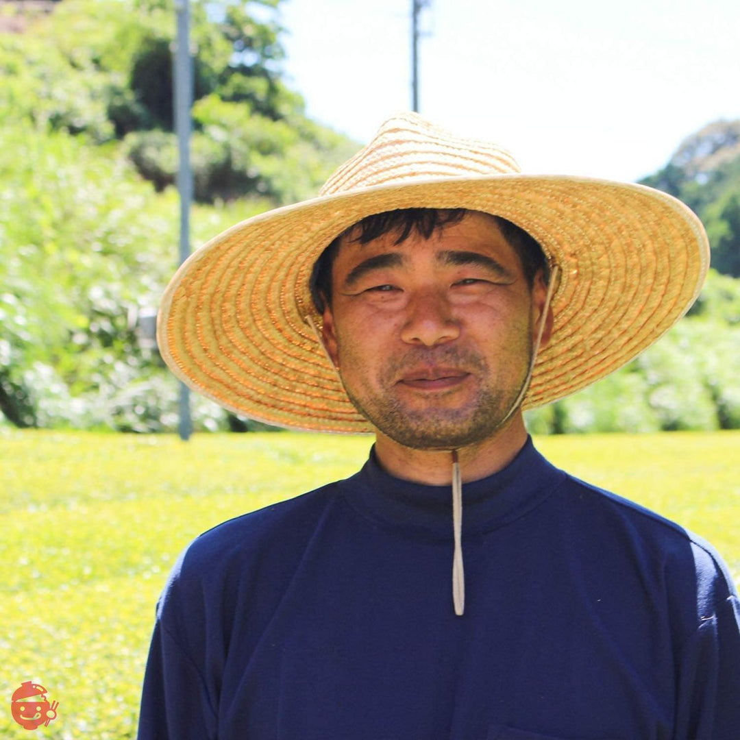 荒畑園 大地の詩 芽茶 茶の芽パック 100g（5g×20袋）1リットル用 高級 ティーパック ティーバッグ 冷茶 水出しの画像