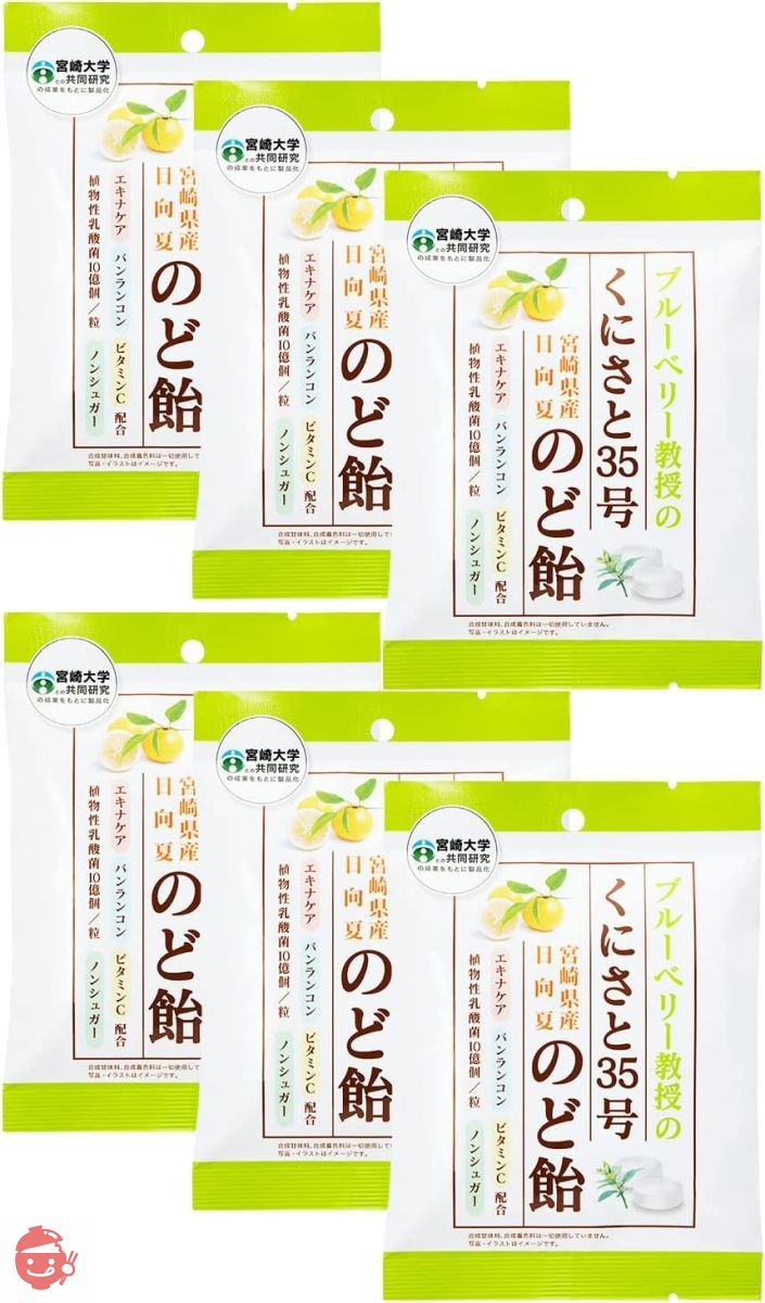 くにさと35号のど飴 ノンシュガー のど飴 [ 甘味料 不使用 ] 独自成分配合 糖類0 個包装 エキナケア のどあめ 6袋の画像