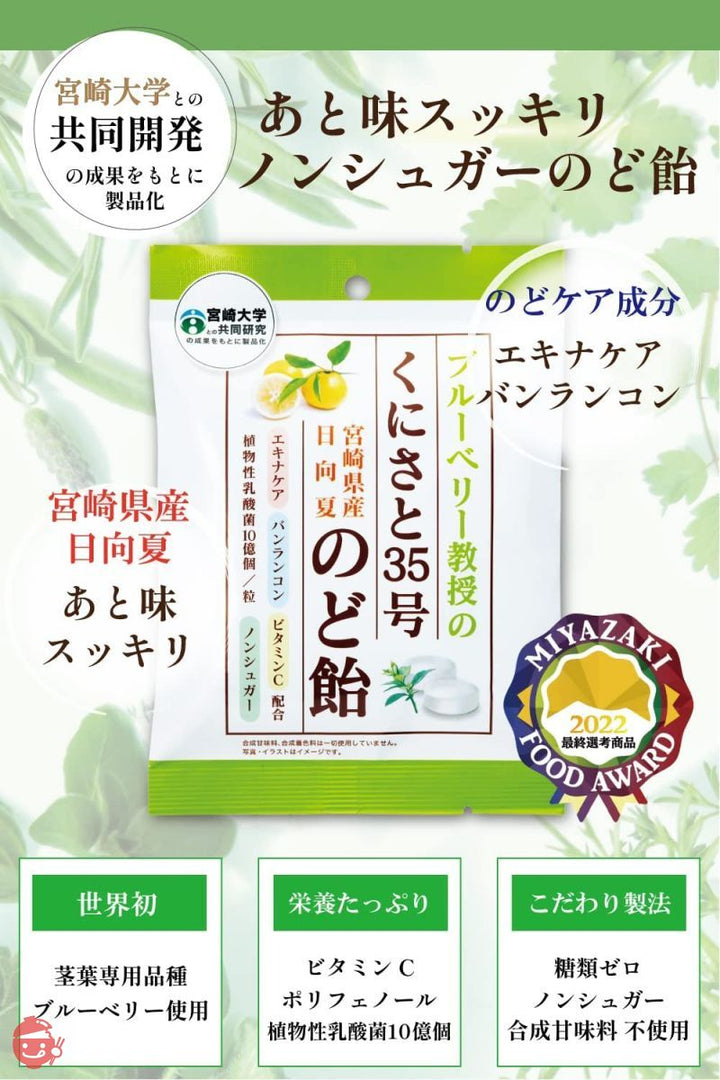 くにさと35号のど飴 ノンシュガー のど飴 [ 甘味料 不使用 ] 独自成分配合 糖類0 個包装 エキナケア のどあめ 6袋の画像