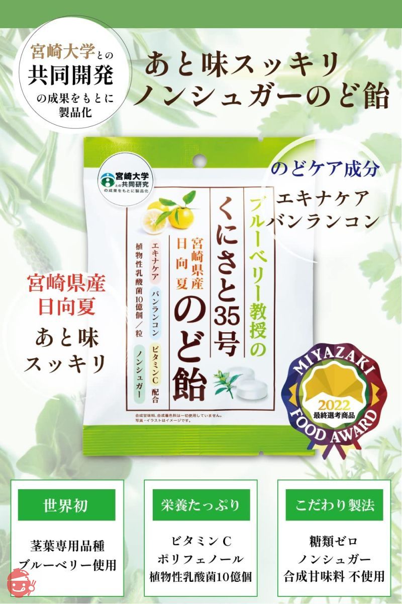 くにさと35号のど飴 ノンシュガー のど飴 [ 甘味料 不使用 ] 独自成分配合 糖類0 個包装 エキナケア のどあめ 12袋の画像