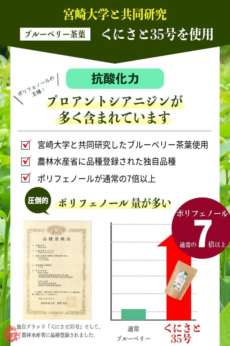 くにさと35号のど飴 ノンシュガー のど飴 [ 甘味料 不使用 ] 独自成分配合 糖類0 個包装 エキナケア のどあめ 6袋の画像