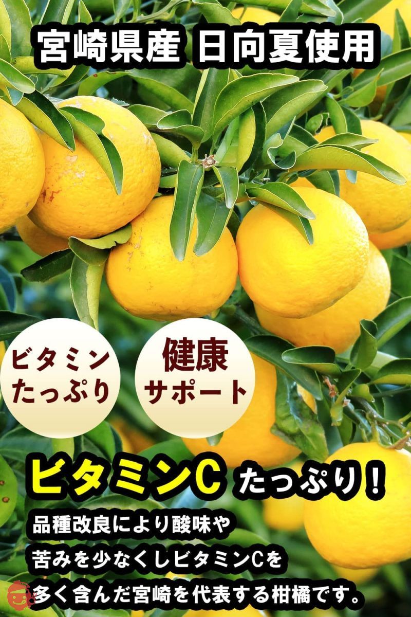 くにさと35号のど飴 ノンシュガー のど飴 [ 甘味料 不使用 ] 独自成分配合 糖類0 個包装 エキナケア のどあめ 6袋の画像