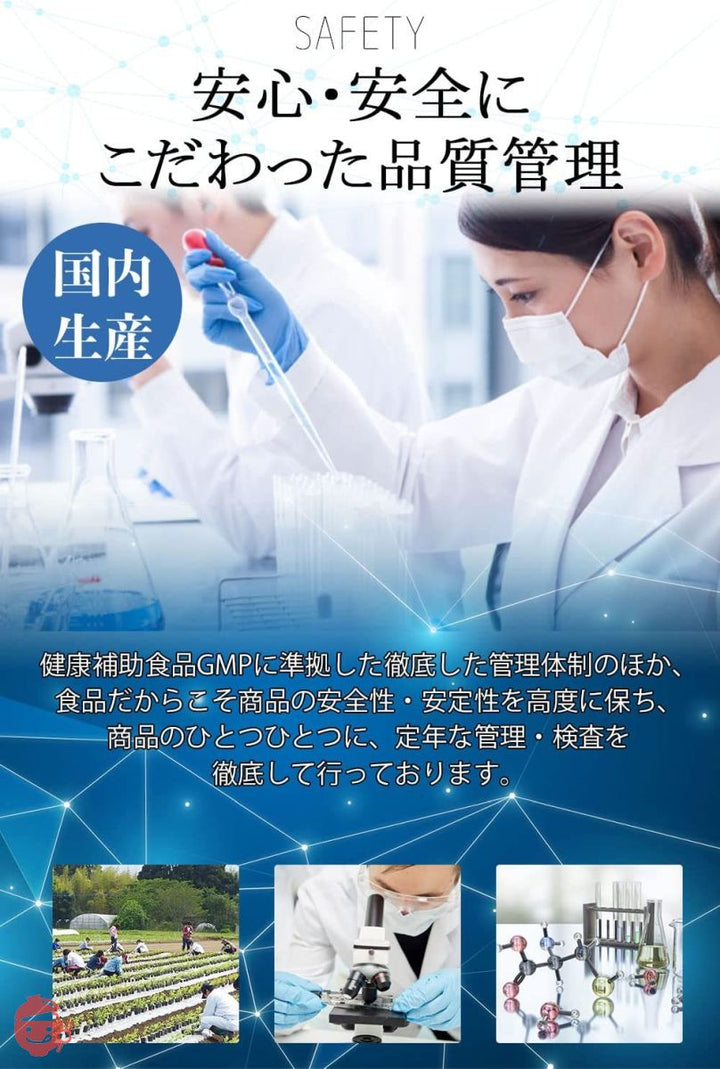 くにさと35号のど飴 ノンシュガー のど飴 [ 甘味料 不使用 ] 独自成分配合 糖類0 個包装 エキナケア のどあめ 6袋の画像