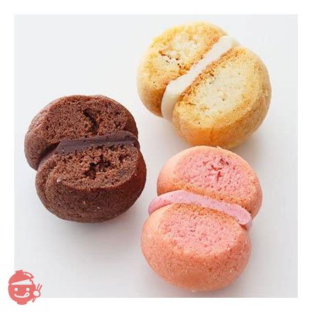 ビーチョコユッチ シーキューブ サクッチ・ホロッチ 12個入り – Japacle