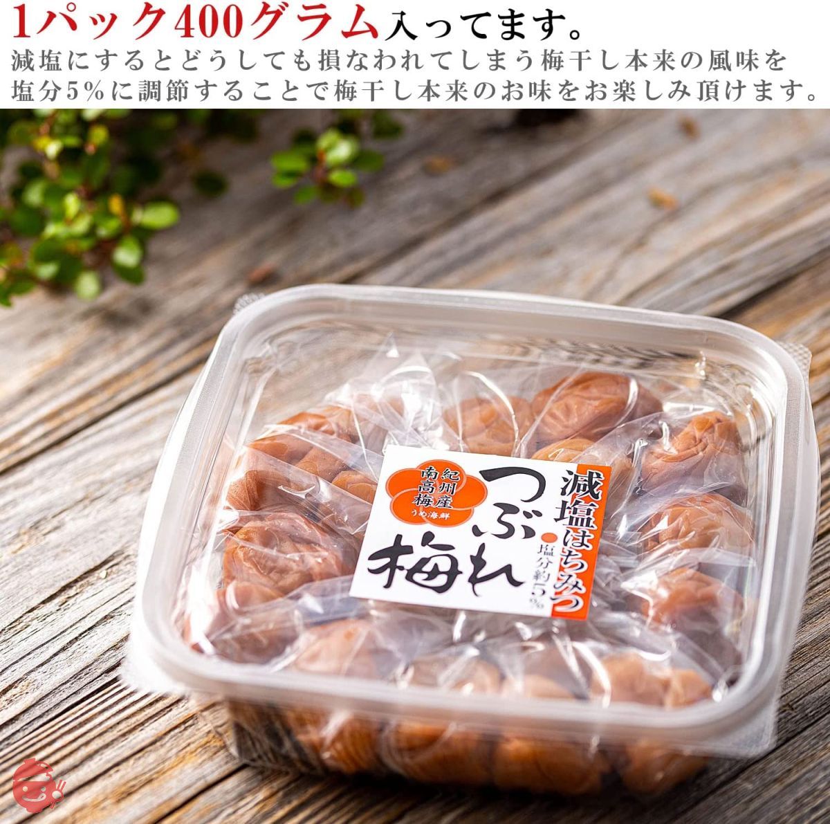 Ume Seafood Kishu Nanko Ume Umeboshi Honey Reduced Salt Ume Ume 400g ( –  Japacle