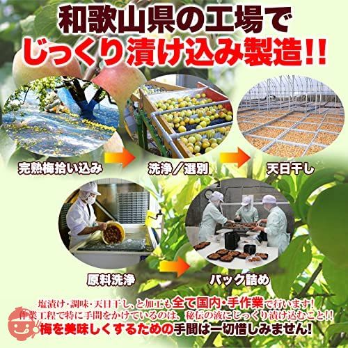 天然生活 つぶれ梅 梅干し 塩分5％ はちみつ 訳あり 紀州南高梅 和歌山県産 大粒 はねだし梅 (1個(400g))の画像