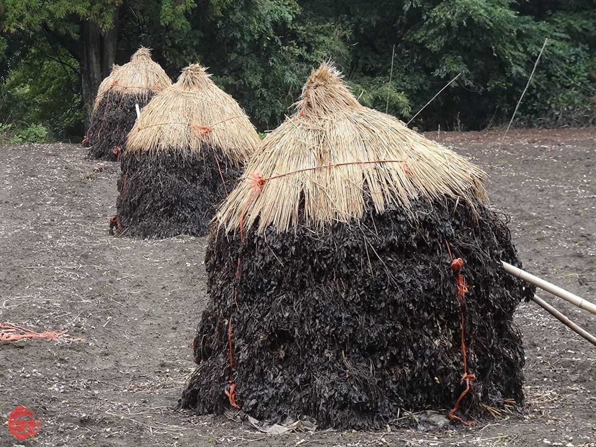 450g unglazed peanut roasted peanuts from Chiba prefecture – Japacle