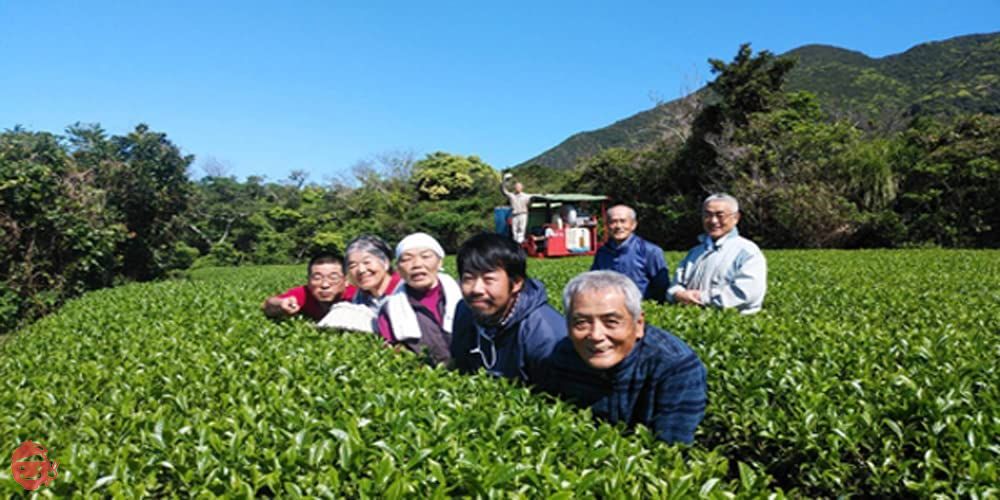 屋久島＠深山園 粉末緑茶 一番茶 残留農薬ゼロ (100g×1袋)の画像