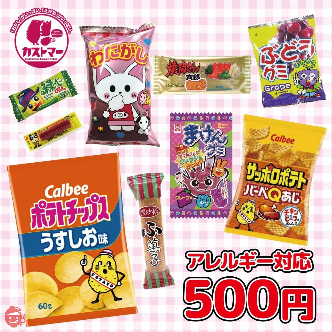 【 アレルギー対応 お菓子 袋詰め 500円 】 お菓子セット 9種 詰め合わせ イベント お祭り 景品 幼稚園 保育園 パーティー 誕生日 子ども会 女子会 プレゼント ギフト 贈り物の画像