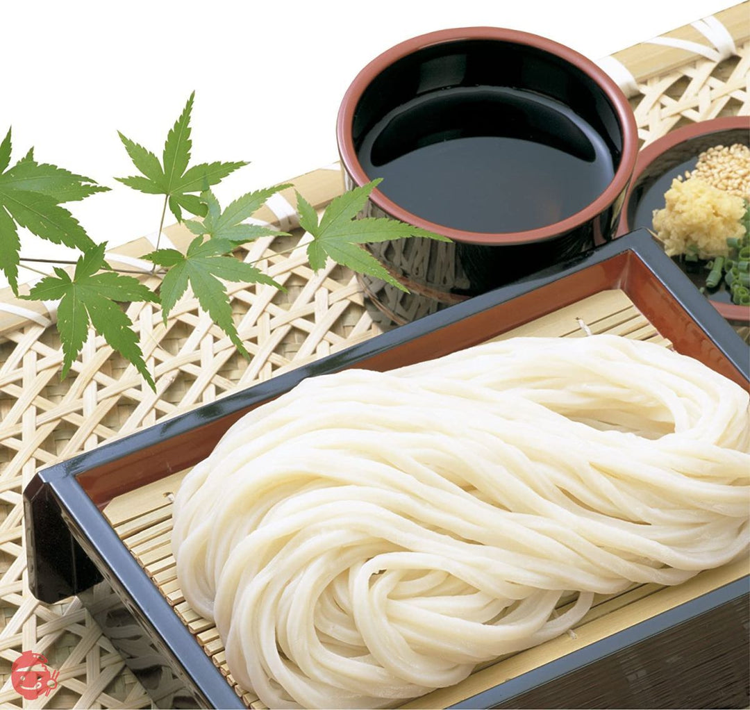 さぬきシセイ 讃岐太麺強腰うどん 600g×5袋の画像