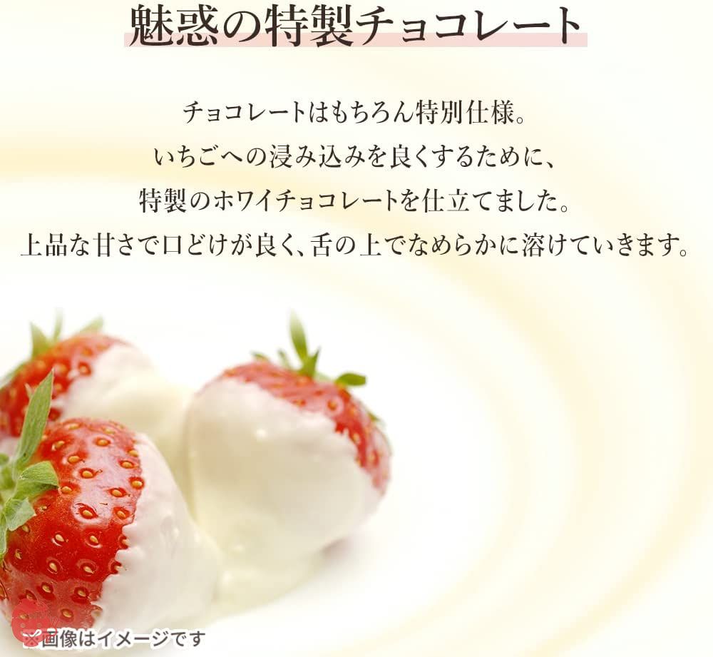 アイリスプラザ 不揃い しみこみチョコ いちご 90g 含浸製法 まるごと しみチョコ ホワイトチョコレートの画像