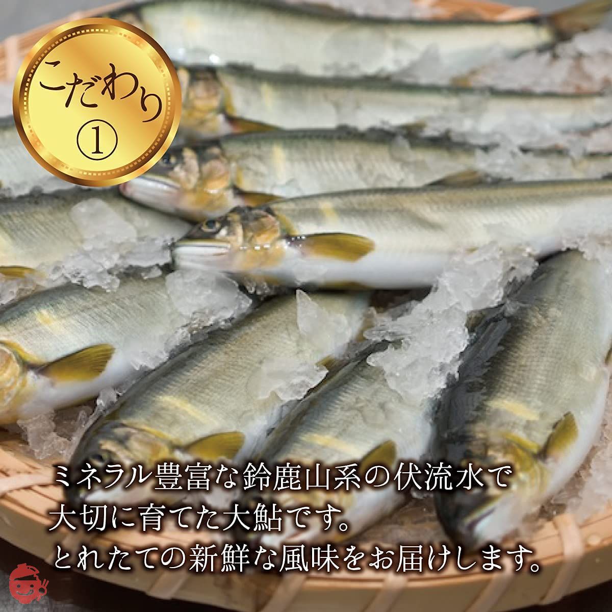 Ayu no Mise Kimura Ayu Chazuke 2 servings Chazuke Chazuke no Moto