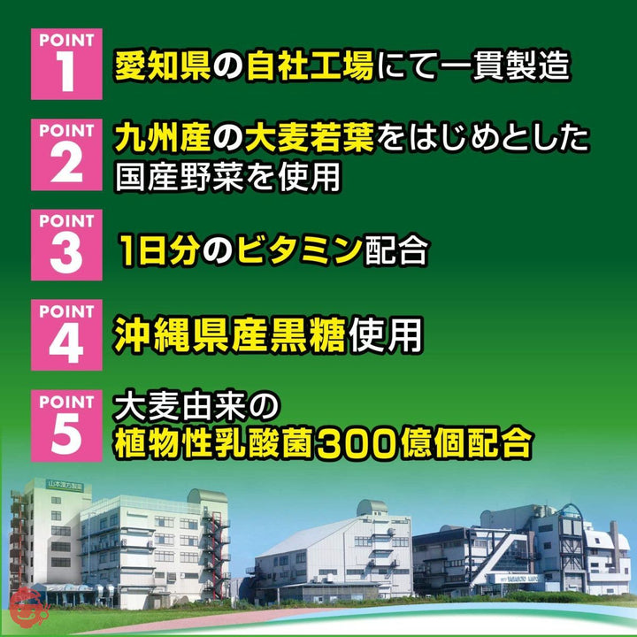 山本漢方製薬 30種類の国産野菜+スーパーフード 3g×64包の画像