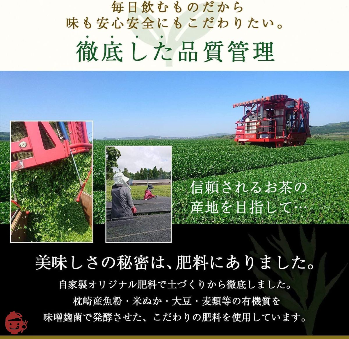 鹿児島産煎茶 みなみの風 100g】農薬不使用 自家製有機質肥料栽培 高級緑茶葉 知覧(深蒸し煎茶) – Japacle