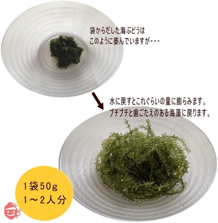 沖縄県産 海ぶどう 50g【たれ付】×3袋の画像
