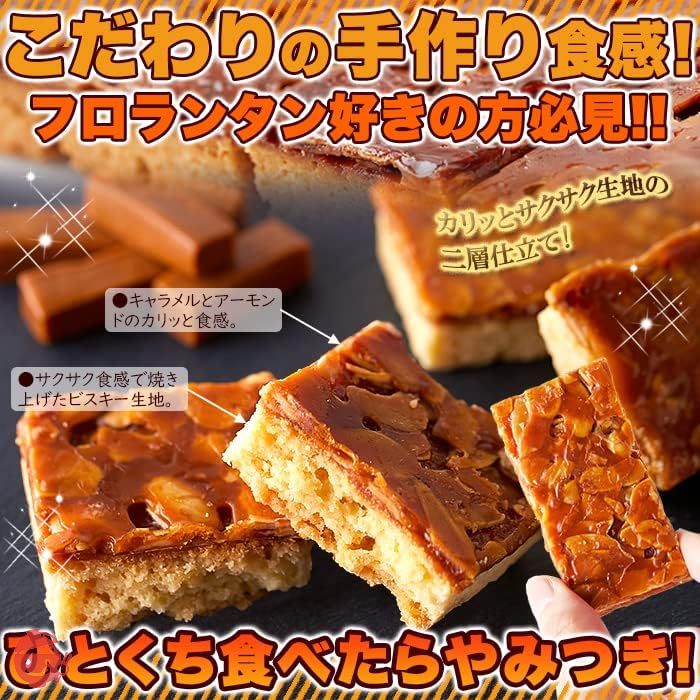 天然生活 キャラメルフロランタン (500g) 訳あり 焼菓子 スイーツ お