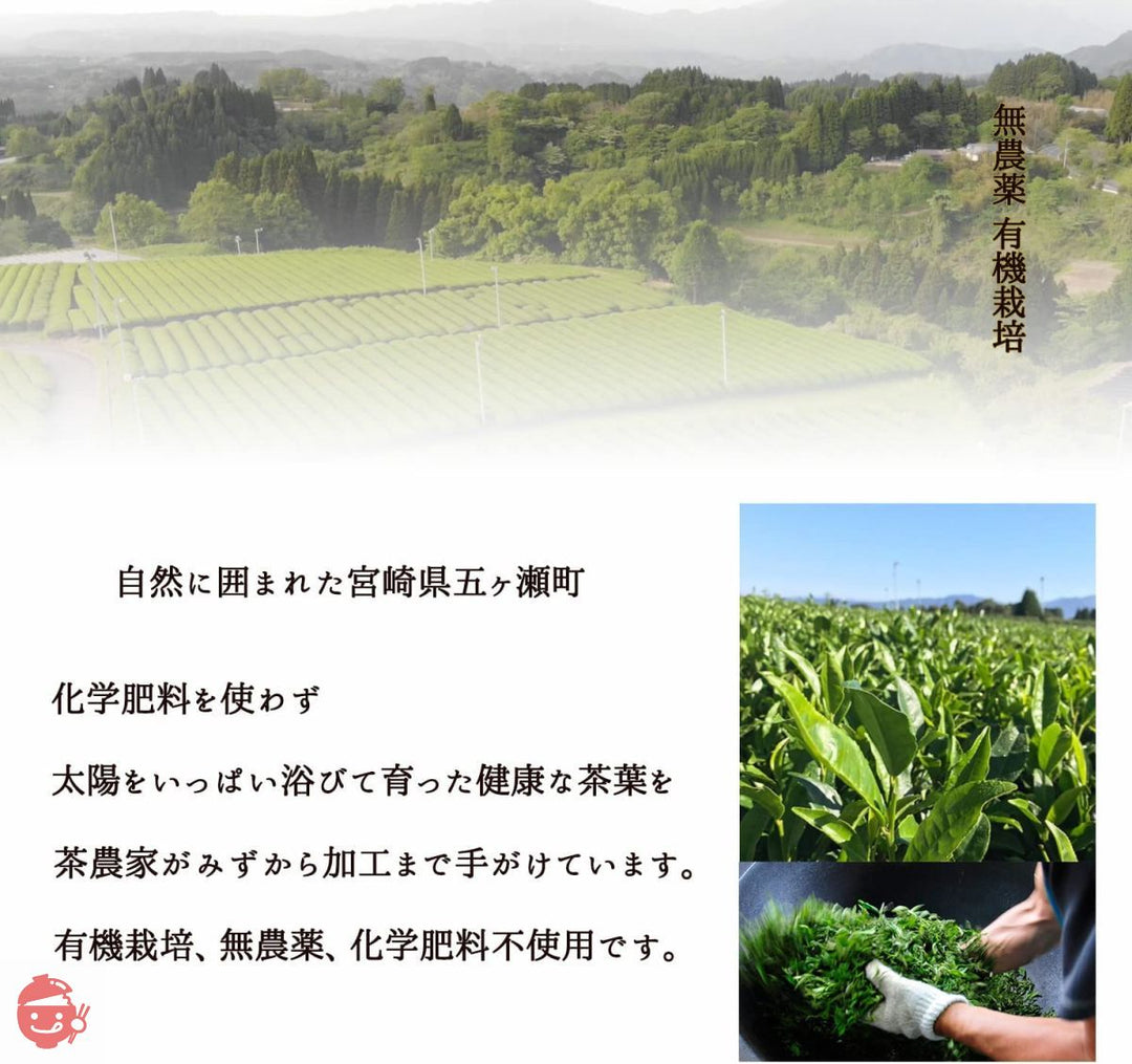 宮崎茶房 食べる緑茶 有機JAS認定 無農薬 3袋セットの画像