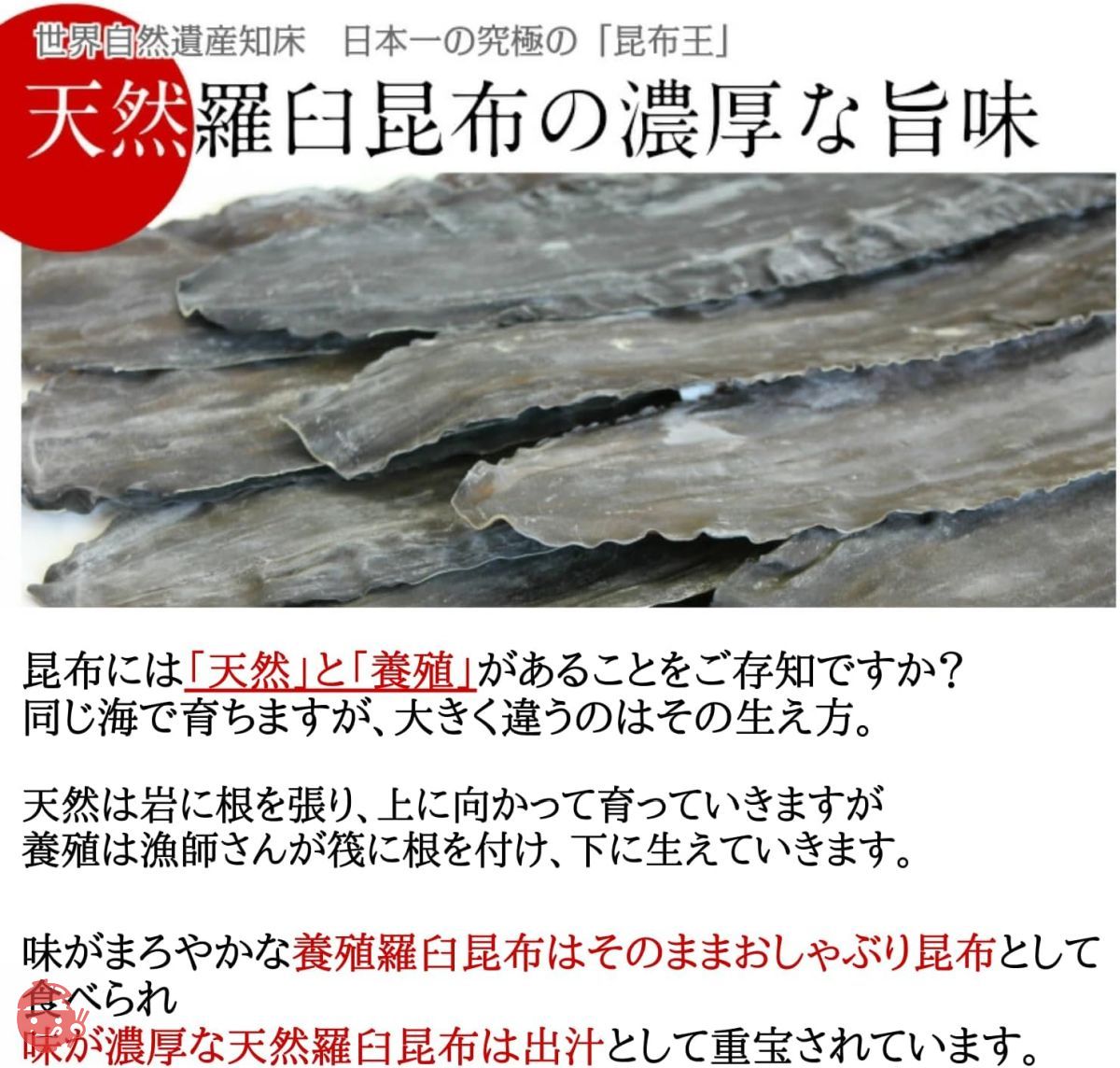Natural Rausu kelp] Kelp specialty wholesaler Genzoya Natural