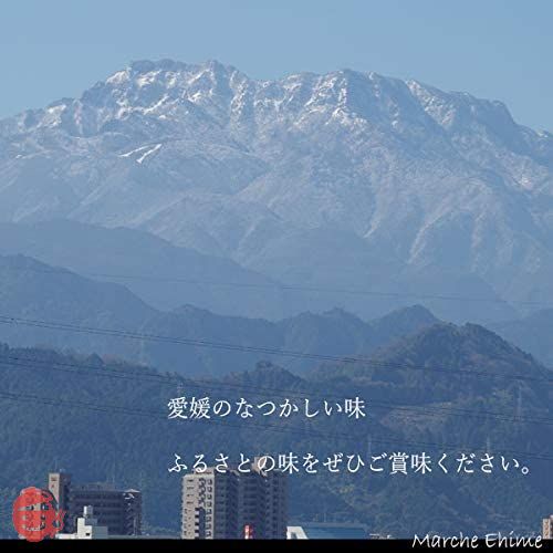 義農味噌 伊予のみそ こし 300g 10個 甘い麦みそ 愛媛 ギノー マルシェ愛媛の画像